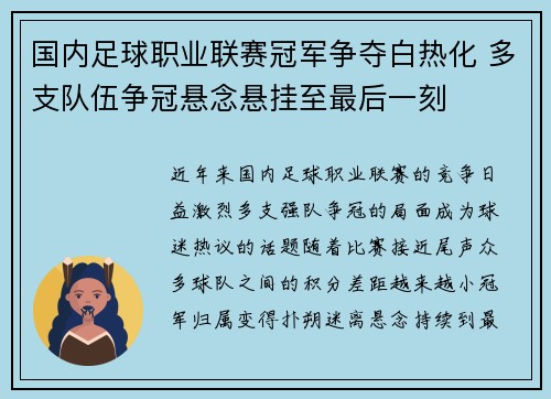 国内足球职业联赛冠军争夺白热化 多支队伍争冠悬念悬挂至最后一刻